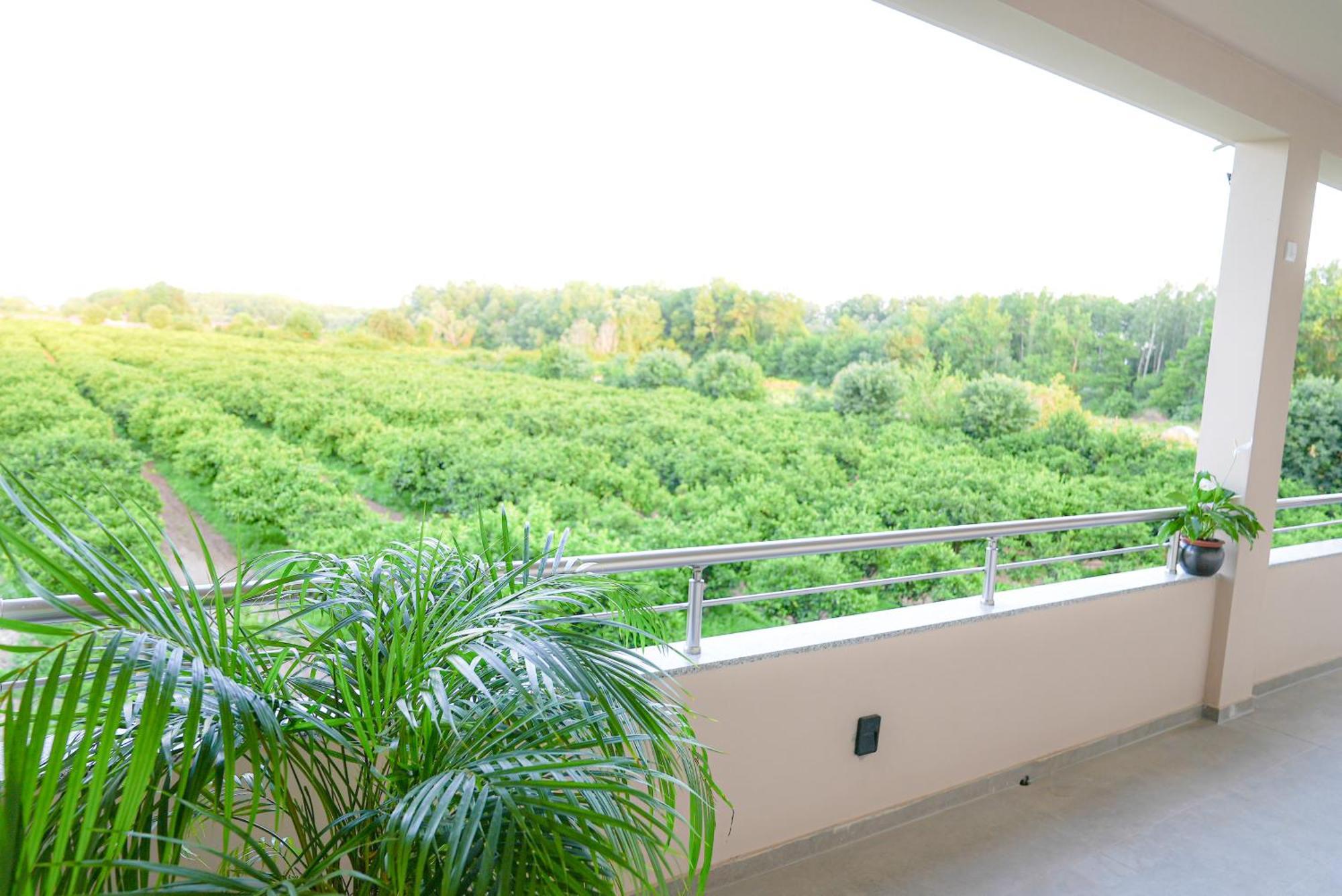 Mar Nero Apartments Bregvija Экстерьер фото